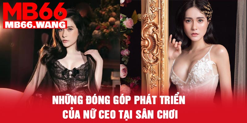 Những đóng góp phát triển của nữ CEO tại sân chơi