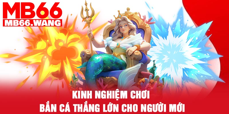 Kinh nghiệm chơi bắn cá thắng lớn cho người mới