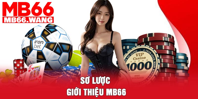 Sơ lược giới thiệu MB66